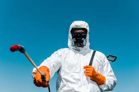 Best Organic or Eco-Friendly Pest Control  in Great Falls, SC